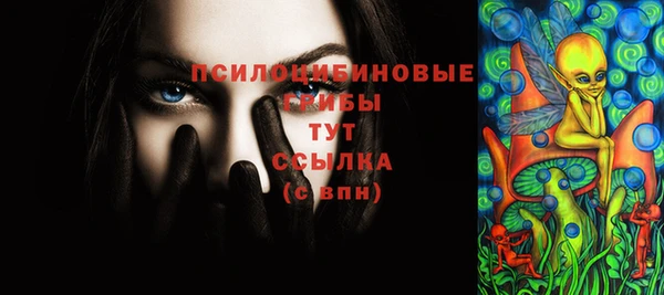 PSILOCYBIN Майский