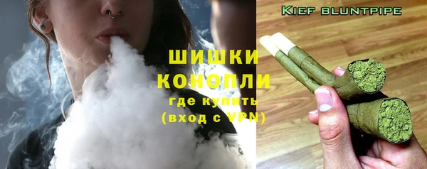 гидра Магас