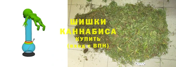 гидра Магас
