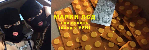гидра Магас