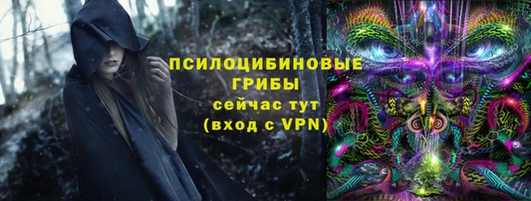 гидра Магас