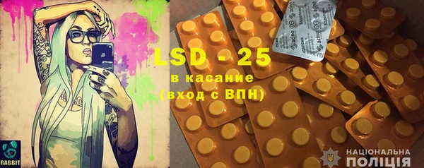 PSILOCYBIN Майский