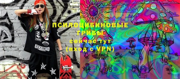 гидра Магас