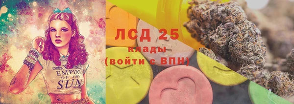 PSILOCYBIN Майский