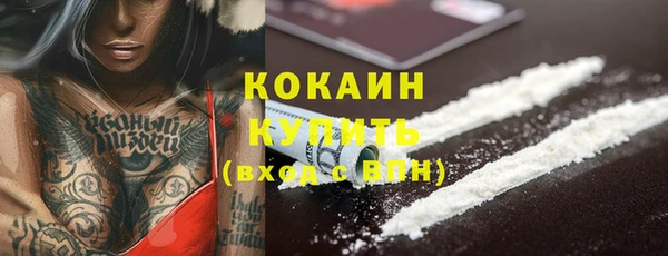 PSILOCYBIN Майский