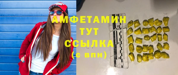 гидра Магас